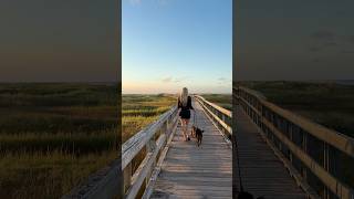 September skies🌙🍂🐶