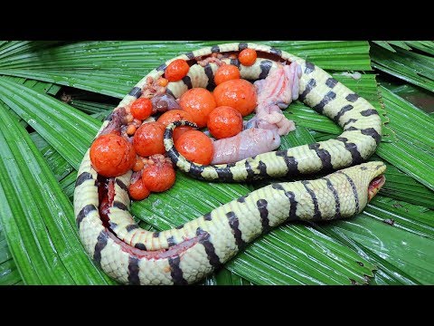 Amazing! Big Snake & Egg and Cooking Soup In Forest