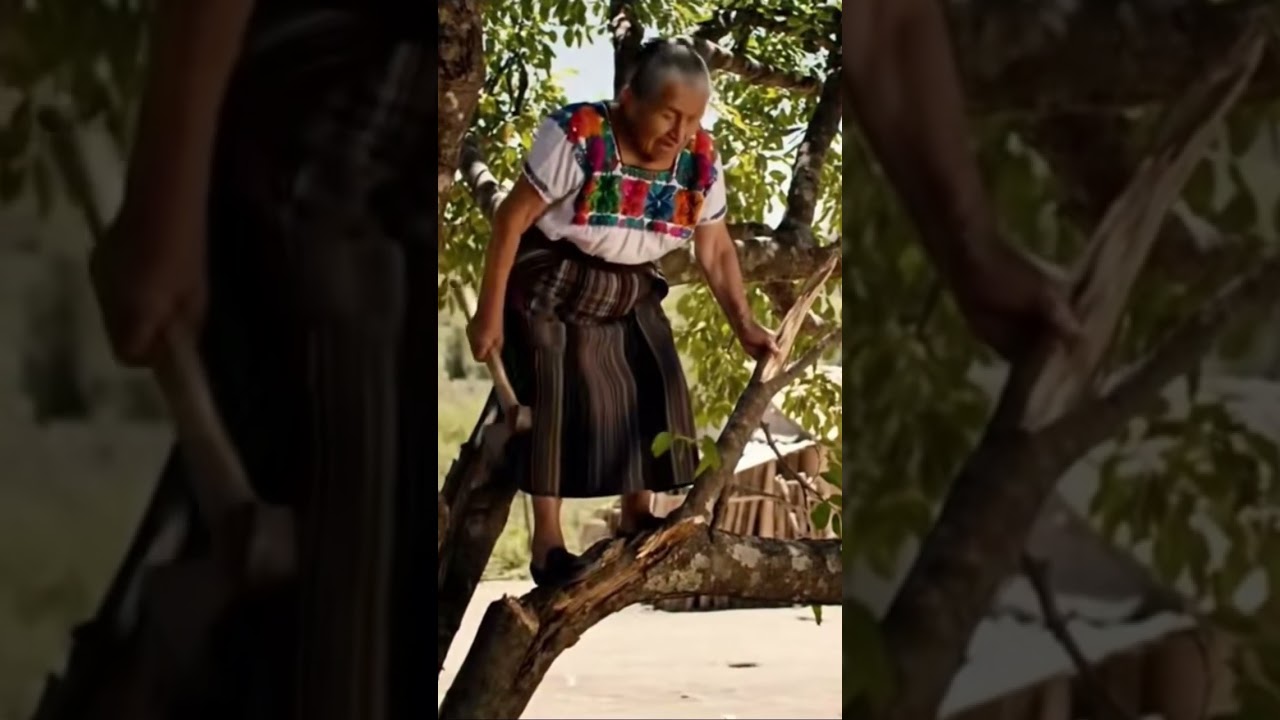 Típica abuela mexicana #viral #humor #ia #comedia #memes #elpersonajedelasemana #veo3