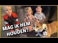 CORGi DE KONiNKLiJKE HOND ? | Bellinga Familie Vloggers #1277