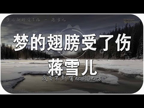 梦的翅膀受了伤 — 蒋雪儿 Đôi cánh của giấc mơ bị tổn thương - Jiang Xueer「超美動態歌詞Lyrics」