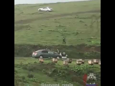 Пчеловодство. Экстрим, Приколы. Пчеловоды меня поймут.Им повезло что пчёлы не среднерусские.