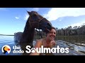 Loyal Horse And Her Mom Have The Strongest Bond The Dodo Soulmates