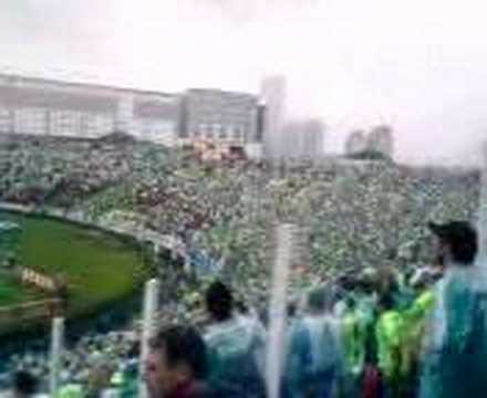 Dá-lhe Dá-lhe Dá-lhe Porco!