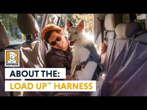 Load Up Car Harness