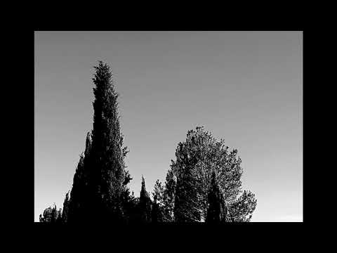 EL MUNDO QUE NOS RODEA