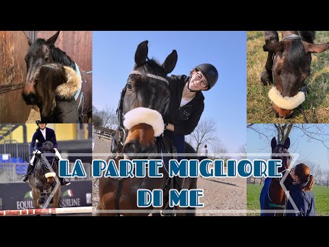 What’s a SOUL MATE? Il video parla da solo|| Camilla Pistorello