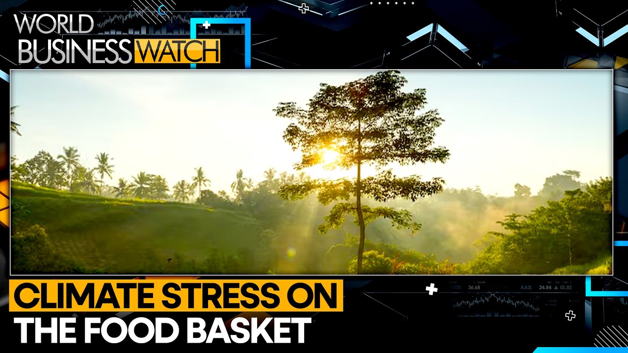 Climate Extremes Are Reshaping Farms From Asia To Europe | WION World Business Watch