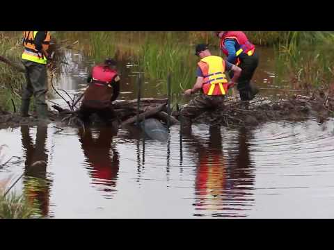 Beaver Pond Leveller Installation - Training Session