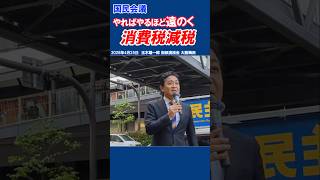 国民会議 やればやるほど遠のく消費税減税