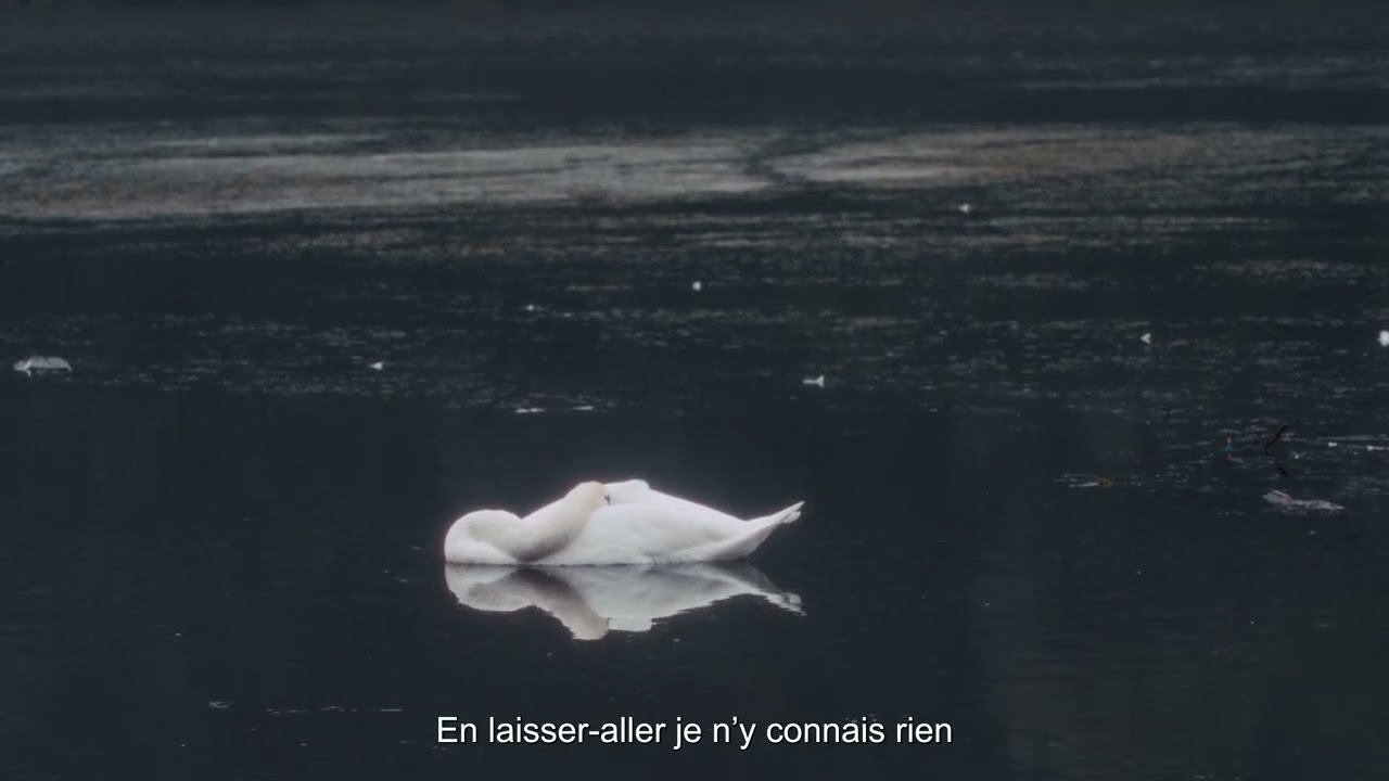 BEN plg - Musique pour fermer les yeux (prod. Waxx, C.Cole & Lucci')