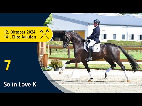 No. 7 So in Love K by Sezuan - Donnerhall | 141. Verden Elite-Auction on October, 12th