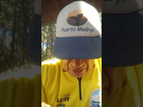 2da Etapa Puerto Libertad Las Delicias. Misiones