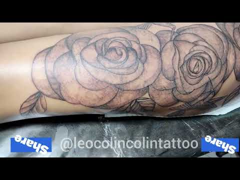 tatuagem de beija-flor rosas tattoo whip shading  Leo Colin tattoo floral