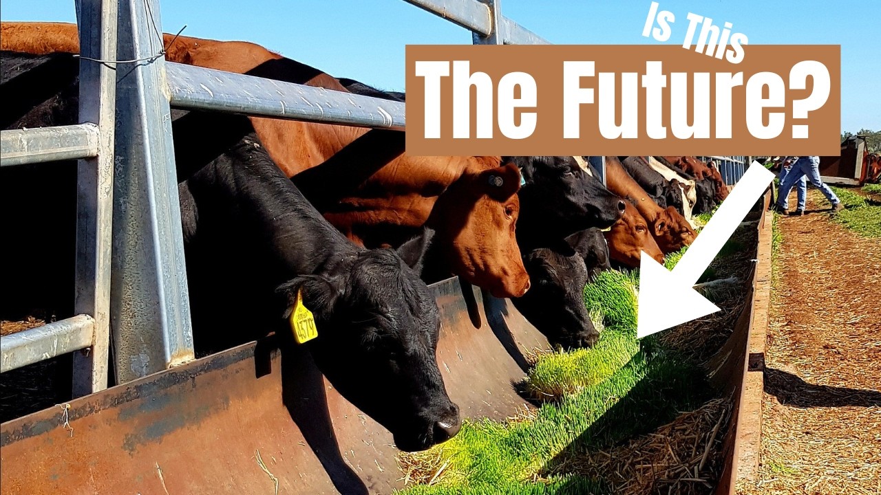 Video Tour (6:38) thumbnail