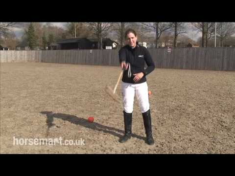 How to play polo: an introduction
