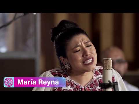 Ficwallmapu en We Tripantu