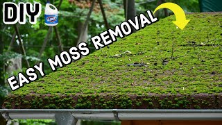 Remove Moss From Roof | DIY | 2 Methods