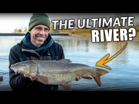 The BEST Barbel Fishing In The UK! | Dean Macey