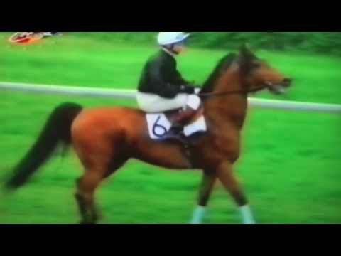 Nagroda Ofira - 22.05.1994 - Emael (Palas - Ejnia)