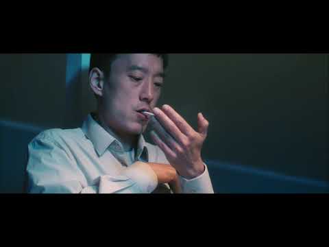 비디오 12