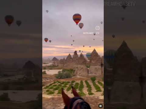CAPPADOCIA: MAGICAL PLACE TO RIDE ✨️🎈🐴🇹🇷 #streamhorsetv #travel #horse #explore #adventure #history