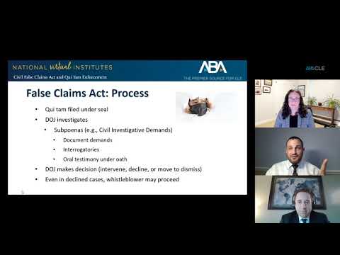 False Claims Act 101