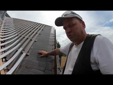 Hechtgaube mit fliehender Biberkehle - Live vom Biberdach im Erzgebirge