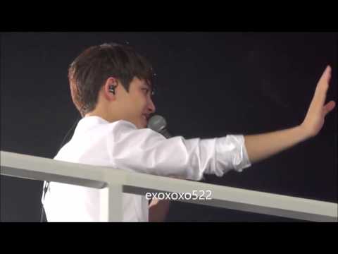 [Fancam HD] 141006 EXO D.O. - You Needed Me @ SMTown Live In Tokyo