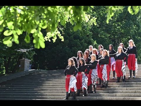 Dabke Project - in solidarity with Palestine