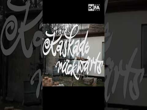 あなたは Wa(h)l – わずかに異なる Wahl-O-Mat を持っています