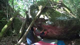 戸河内 心鉄 初段