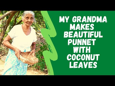 My Grandma Makes Beautiful Punnets With Coconut Leaves