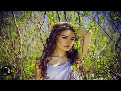 Moonlight & Dayana - Summertime Sadness