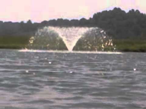 Azulinka (La Tona) Nando y Helder