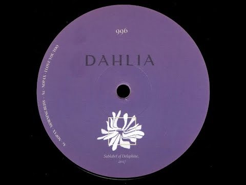 Nopax - I Love You Too [DAHLIA996]