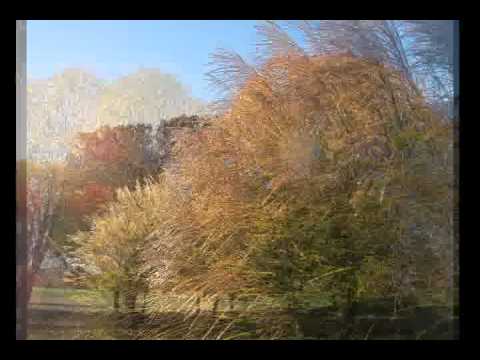 Музыка В.Моцардо Осенняя мелодия/ Vyacheslav Motsardo Autumn melody