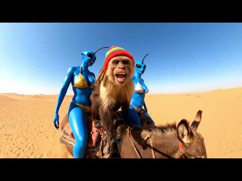 Sneaking into Area 51