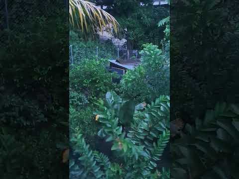 25 de octubre de 2025