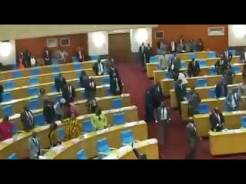 Timothy Mtambo & Gift Trapence causes havoc in parliament
