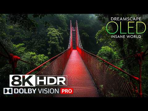 8K MAX RESOLUTION! Dolby Vision™ HDR COLORS (60 FPS) - Peaceful Relaxing Film