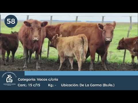 Lote VA C/ CRIA - De la Garma Bs As