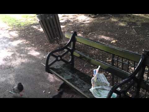 Gary Husband featuring Hamish Stewart - "My Heart Stood Still"