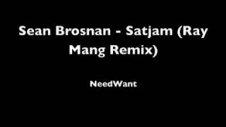 Sean Brosnan - Satjam (Ray Mang Remix) NeedWant