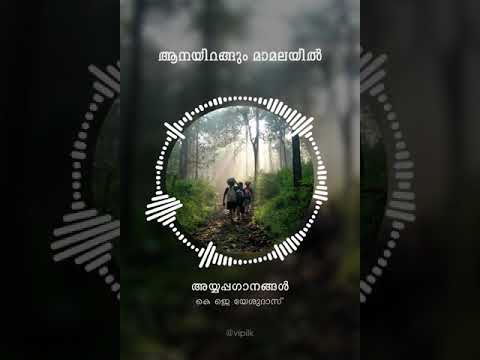 Aanayirangum Mamalayil - Ayyappa Devotional WhatsApp Status