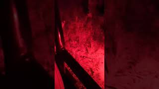Download lagu Phinda Game Reserve Evening Game Drive 3: Leopard hunting at night - 27 Feb 2020 mp3