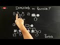 HEREDOGRAMA | Árvore genealógica - Como saber se é dominante ou recessivo? GENÉTICA