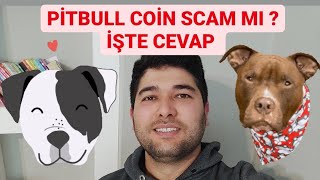 PİTBULL COİN SCAM MI ? PİTBUL COİN