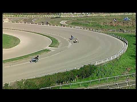 Trotto 31/12/2020 - 1ª prova di qualifica