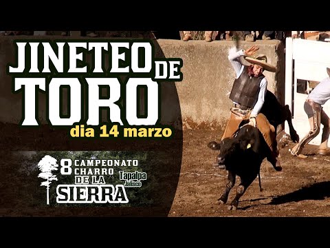 BULL RIDING day 14 - 8th Charro de la Sierra Championship 2021
